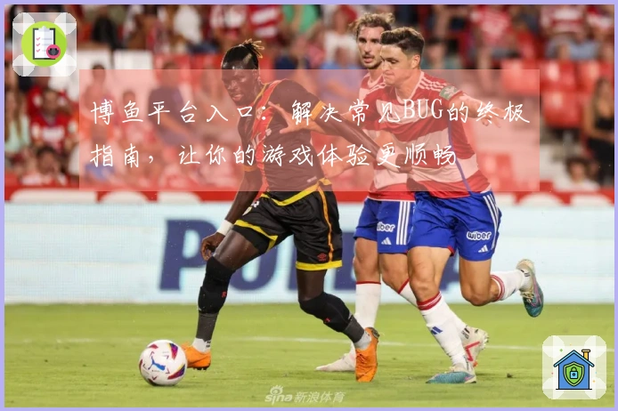 博鱼平台入口：解决常见BUG的终极指南，让你的游戏体验更顺畅